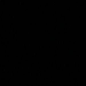 Meet your Posher, Ismael